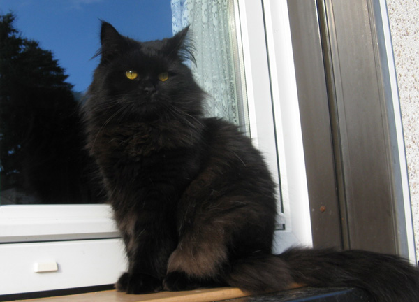 Ausblick in seinen Garten.jpg